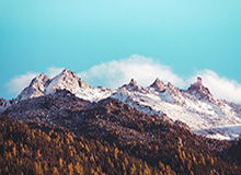 问鼎娱乐-​横滨水手亚冠横扫全北晋级 俱乐部奖赏主帅新约